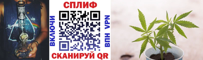 Шишки марихуана AK-47  где найти   Усть-Катав 